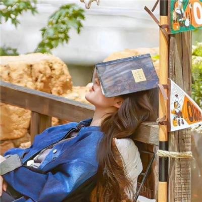 飙速同行：极限单车之旅